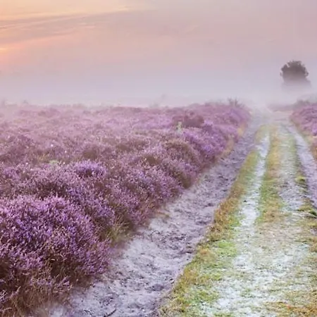 בקתה Boutique Veluwe פוטן
