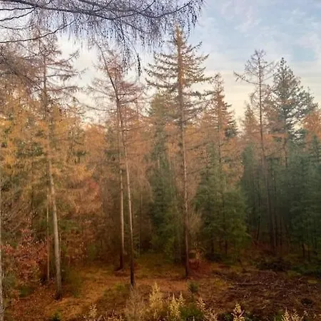 בקתה Boutique Veluwe