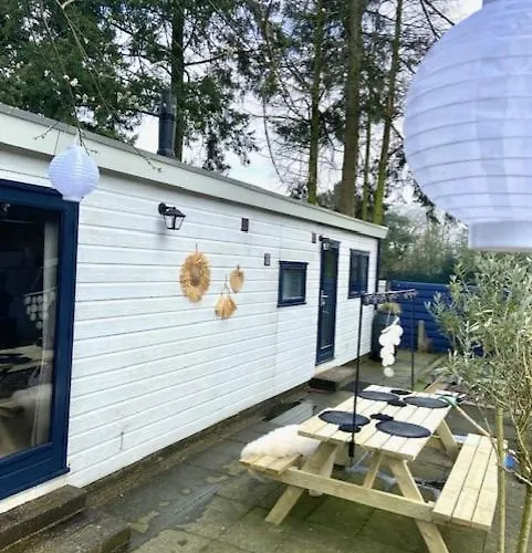 Boutique Veluwe Chalet