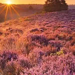 Alpstuga Boutique Veluwe Putten
