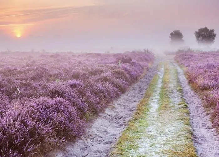 شاليه Boutique Veluwe بوتِنْ