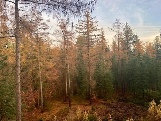 شاليه Boutique Veluwe